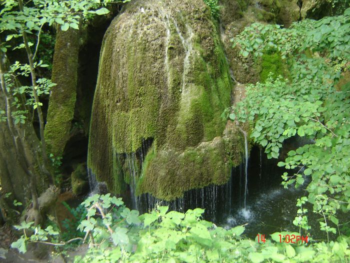 Picture 7 - cascada bigar