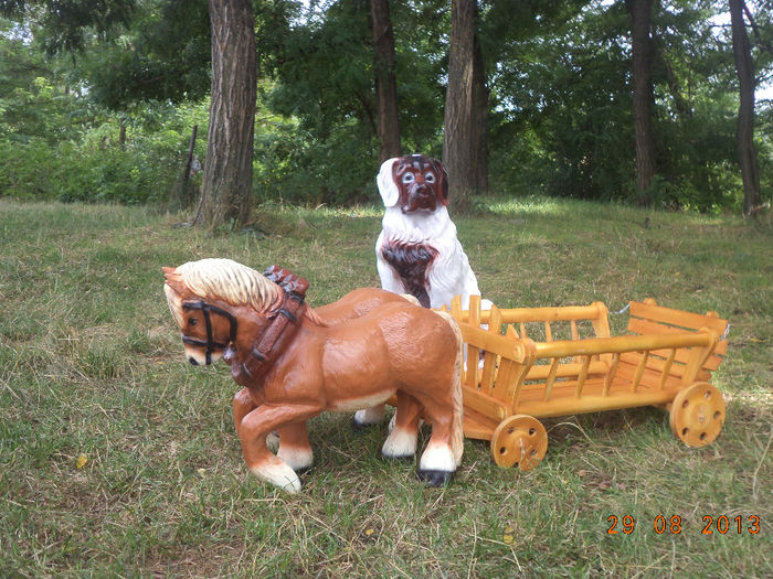 DSC00183 - pitici 2013