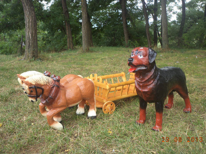 DSC00187 - pitici 2013