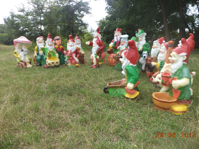 DSC00223 - pitici 2013