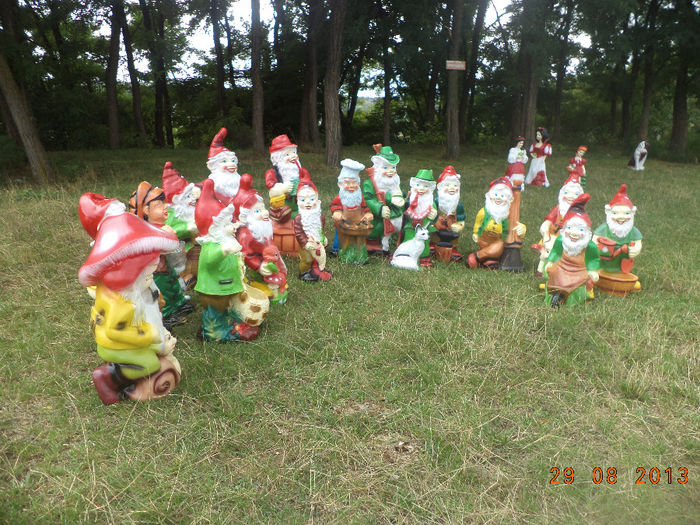 DSC00224 - pitici 2013