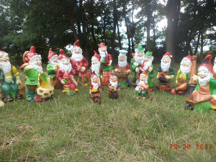 DSC00227 - pitici 2013