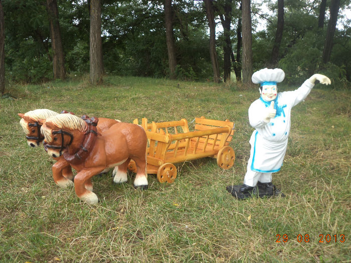 DSC00191 - pitici 2013