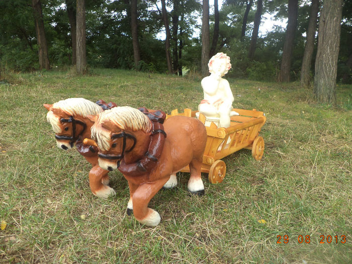 DSC00193 - pitici 2013