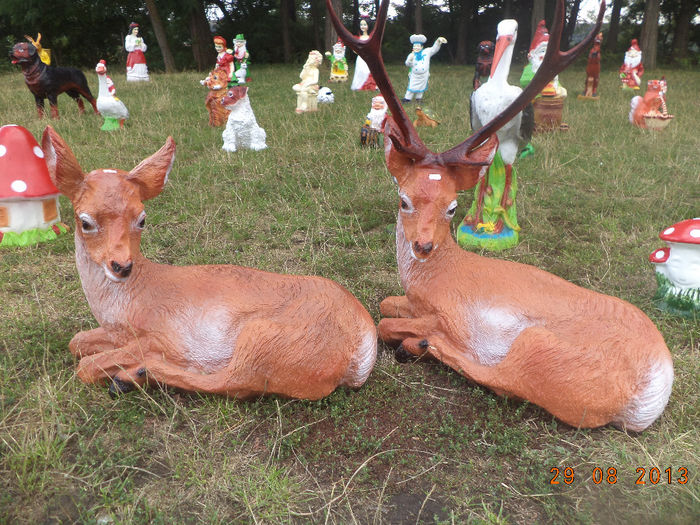 DSC00194 - pitici 2013
