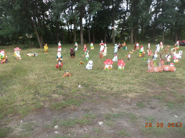 DSC00196 - pitici 2013