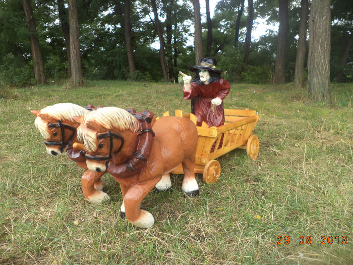 DSC00198 - pitici 2013