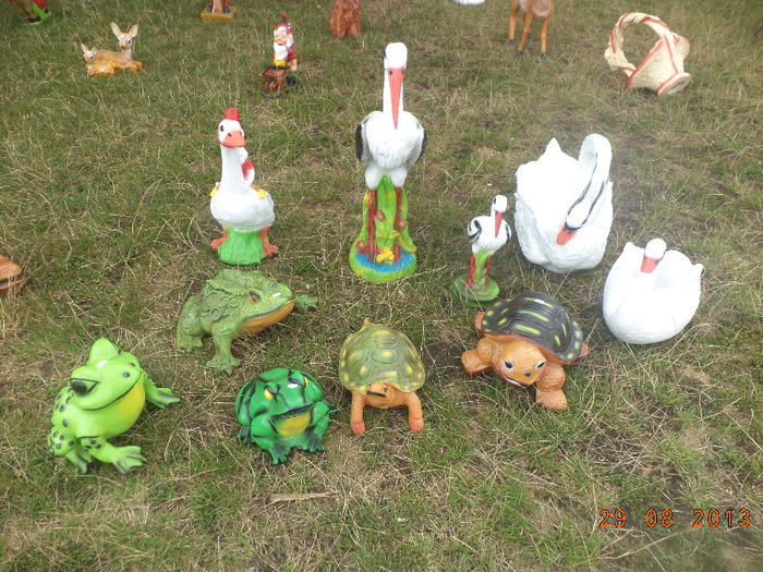 DSC00203 - pitici 2013