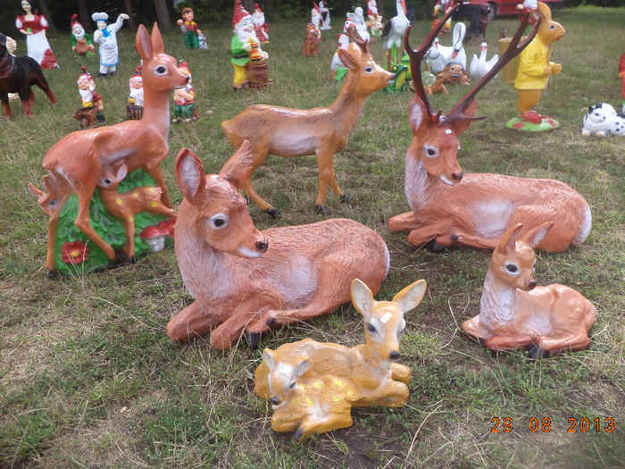 DSC00206 - pitici 2013