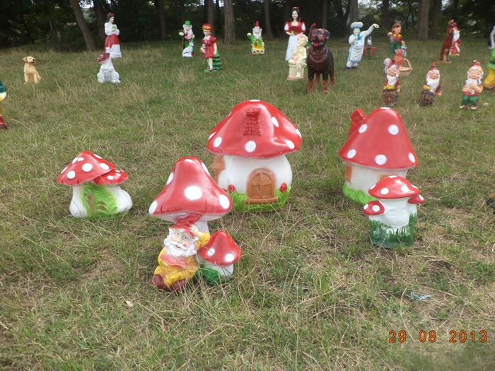 DSC00207 - pitici 2013