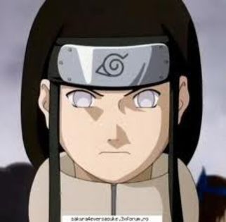 Neji Hyuga - 30 Echipa Gai-Sensei