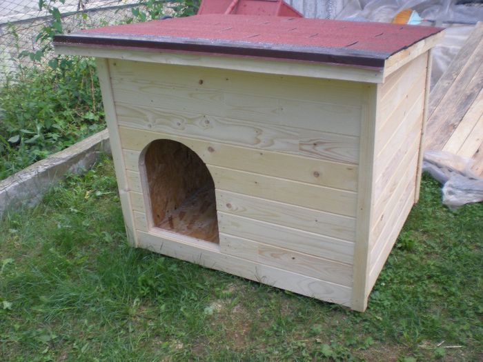 cusca cotet caine din lemn (1)