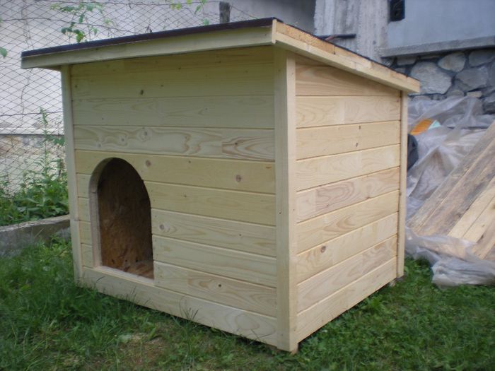 cusca cotet caine din lemn (5) - 1 Custi cotete lemn --- REALIZATE