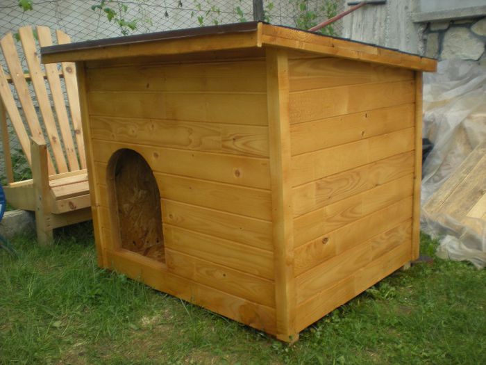 cusca cotet caine din lemn (9) - 1 Custi cotete lemn --- REALIZATE