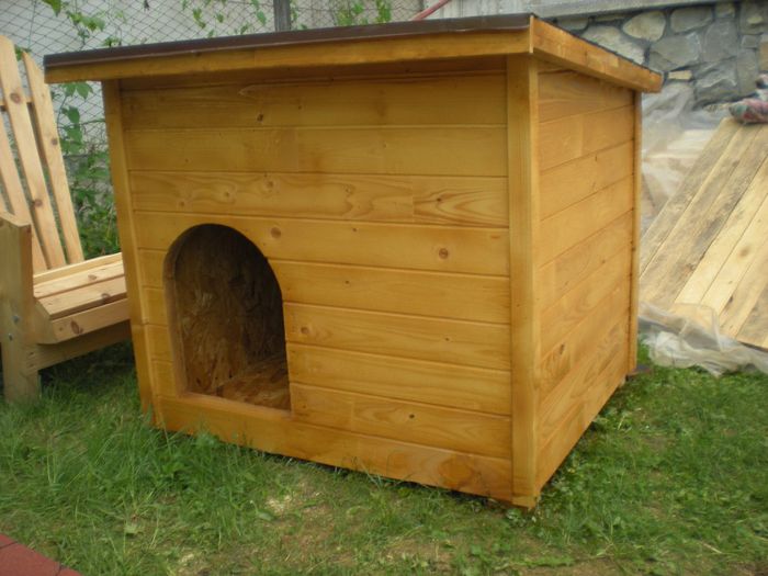 cusca cotet caine din lemn (10) - 1 Custi cotete lemn --- REALIZATE