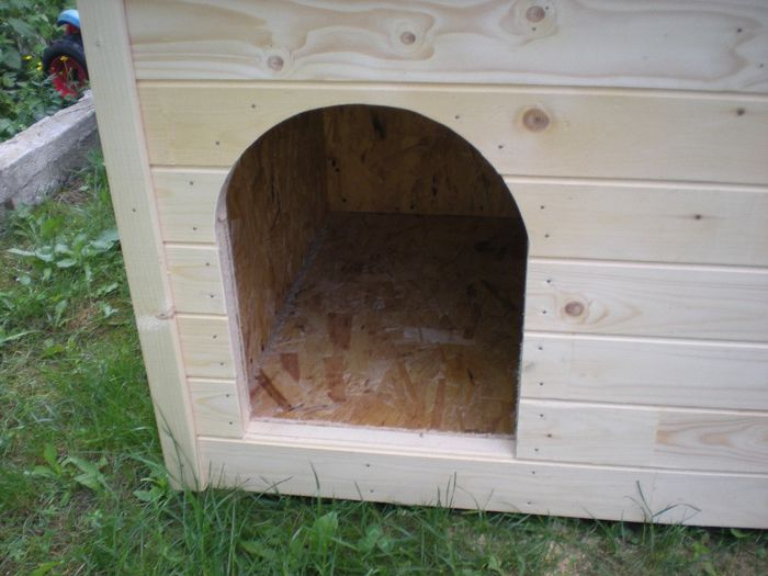 cusca cotet caine din lemn (6) - 1 Custi cotete lemn --- REALIZATE