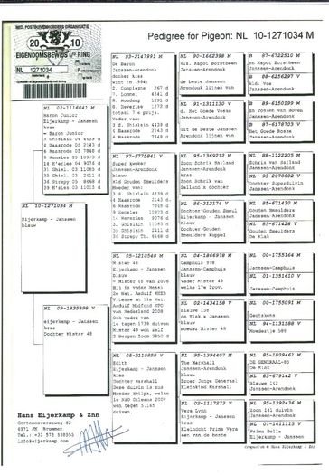 NL 10-1271034; Pedigree tatal
