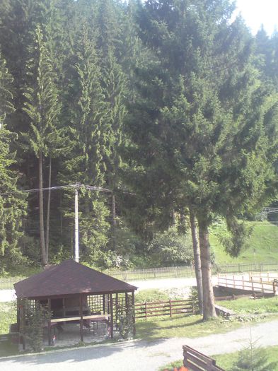 DSC02249 - concediu 2013
