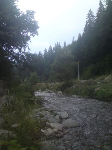 DSC02258