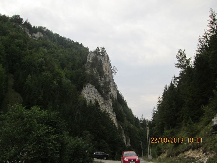 IMG_0426