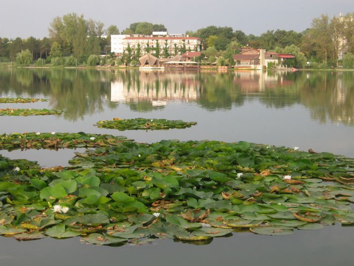 Lacul de la Neptun