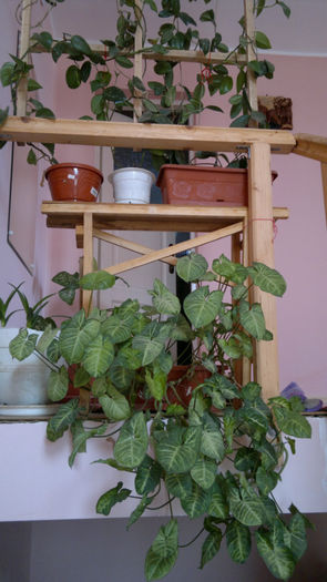 2013-05-22-195; Cerica
