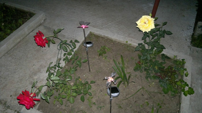 2013-06-05-226; Noaptea
