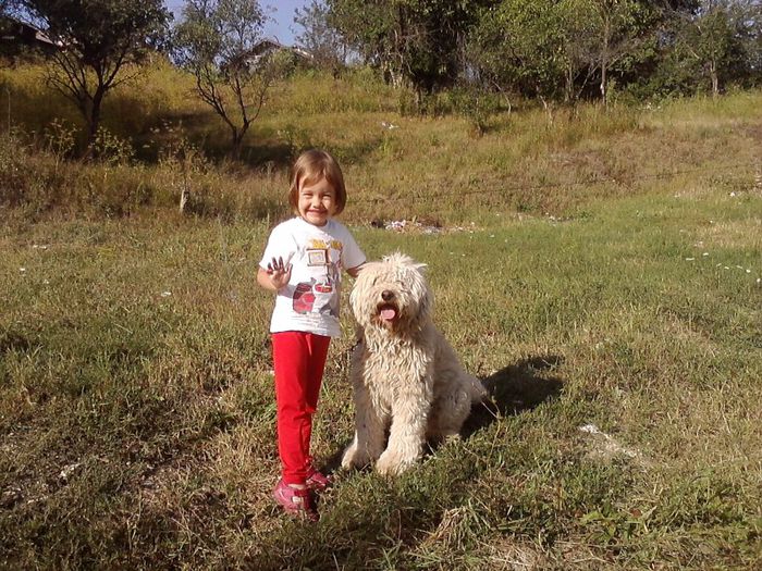 P310813_17.23 - SORICELLLLL