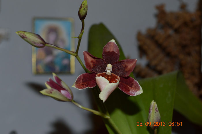 DSC_0002