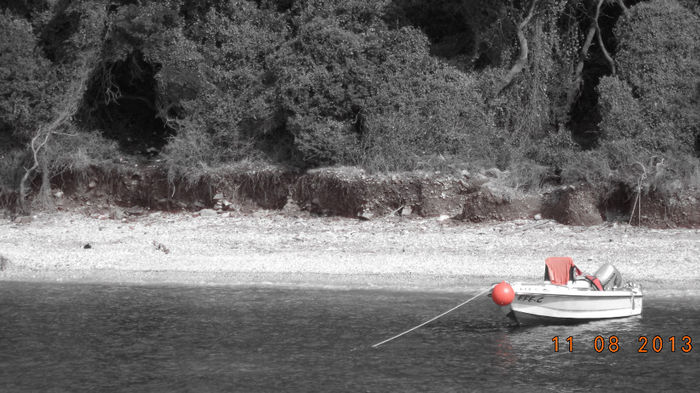 00000329 - 2013 TURCIA DAVUTLAR