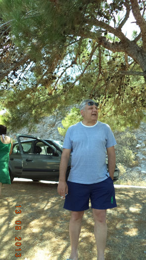 00000353 - 2013 TURCIA DAVUTLAR