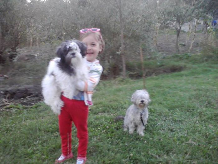 1175579_632892253410046_590067990_n