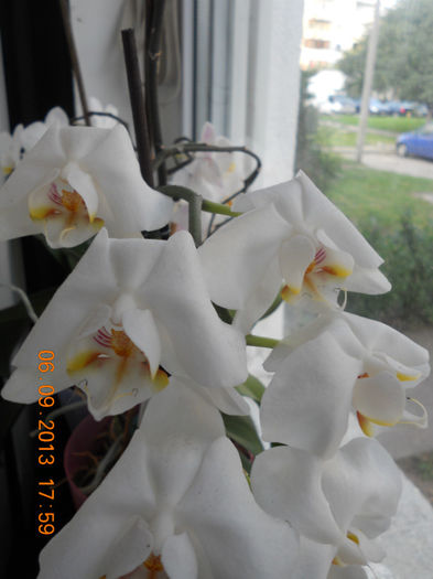 DSCN4158