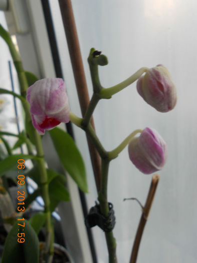 DSCN4160