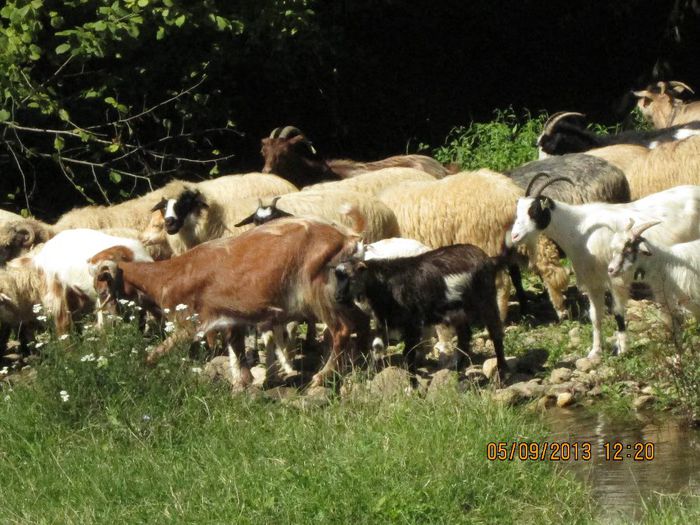 IMG_9034 - O mica iesire