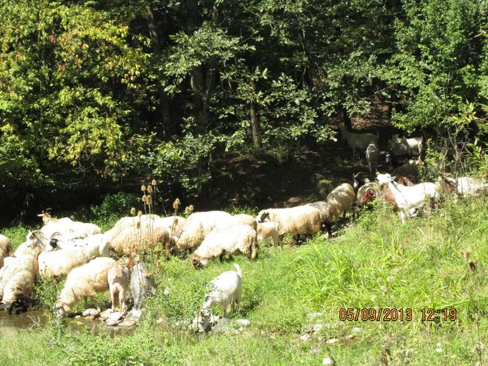 IMG_9032 - O mica iesire