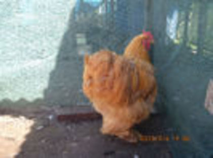 92521472_JKCKGGK3