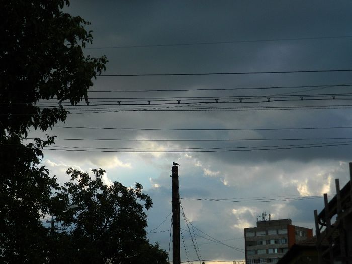 DSCN1060
