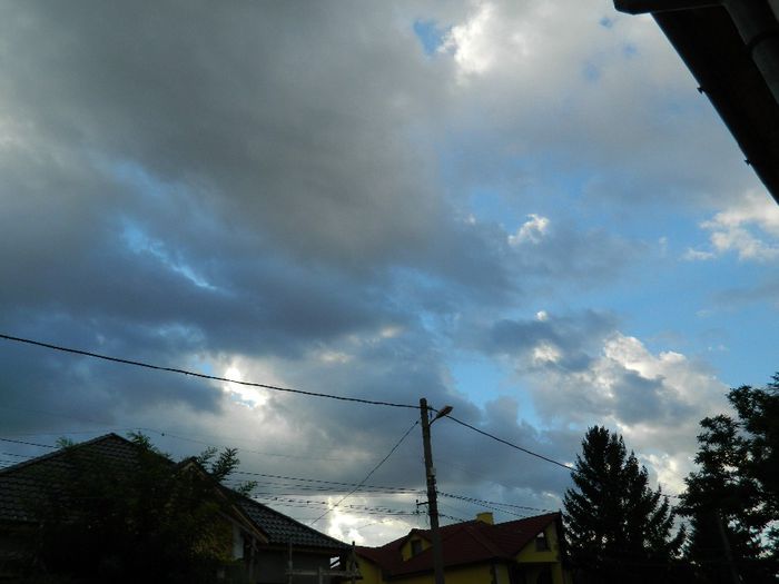 DSCN1061