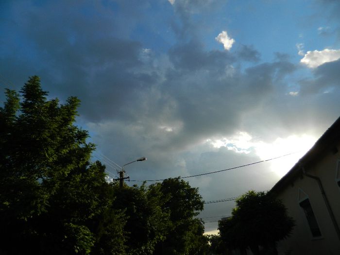 DSCN1082
