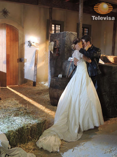 -d3aba7a6-852c-11e2-97ee-a0aa7036bb0a-480x640._DSCN8850