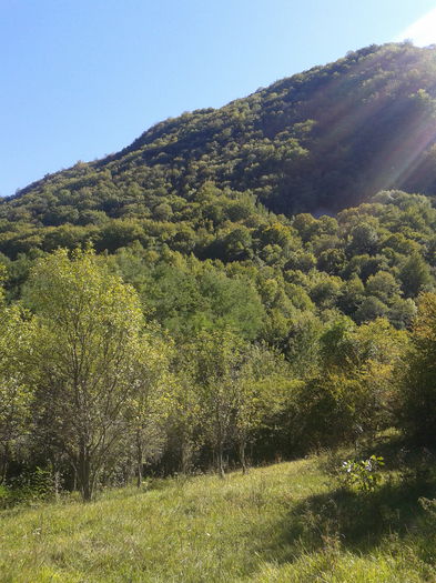 2013-09-08 15.12.42