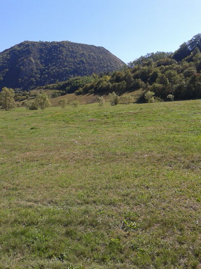 2013-09-08 14.49.57