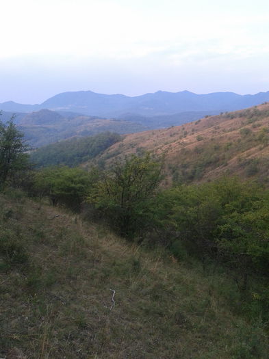 2013-08-21 08.09.43 - Fotografii 2013