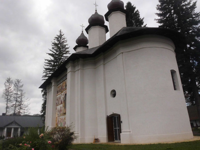 DSCI7522 - La Manastirea Vorona jud Botosani