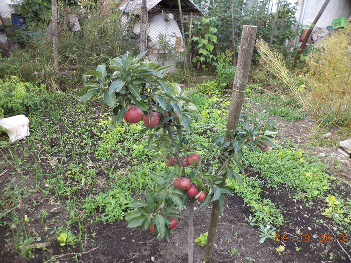 Un mar micut la Gabi