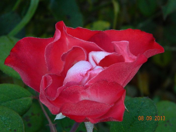 035 - 04_TOAMNA