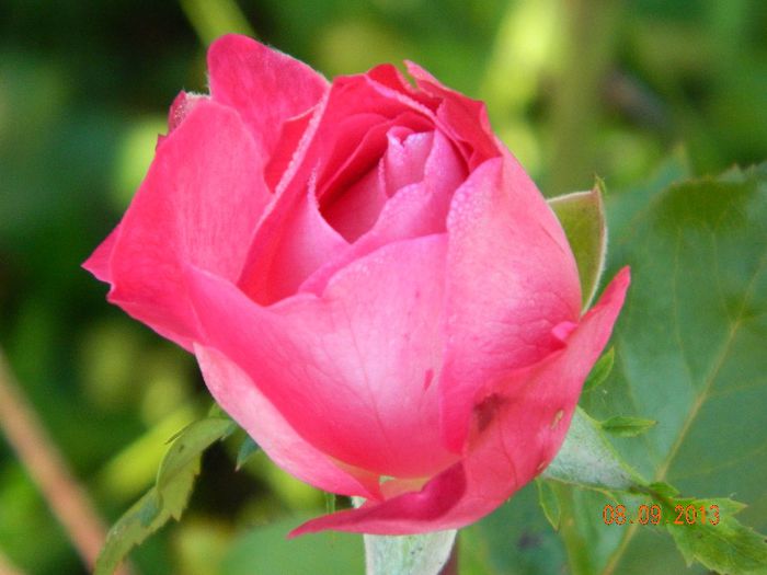 041 - 04_TOAMNA