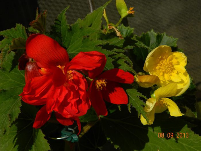 055