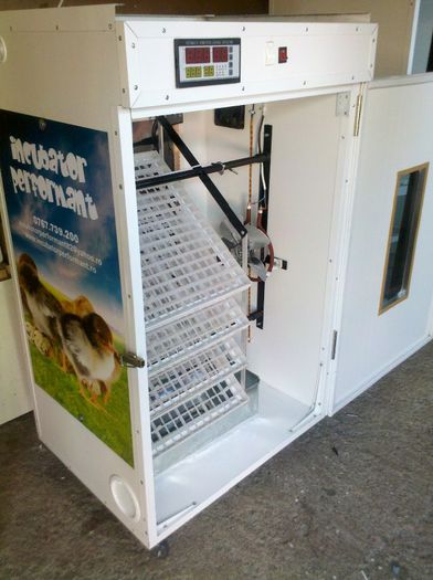 incubator 352 oua gaina